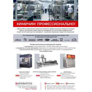 Средство моющее усиленного действия д/мытья коптильного оборуд. и фритюрниц REMSOOT 5л.Долфин D039-5, фото 2